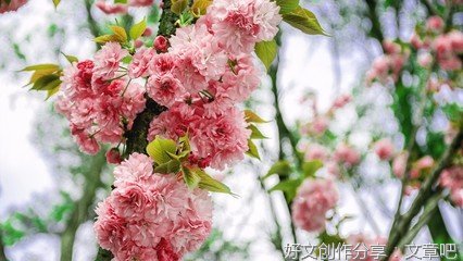 路优美的句子