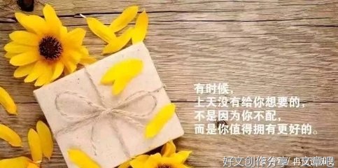 爱的句子