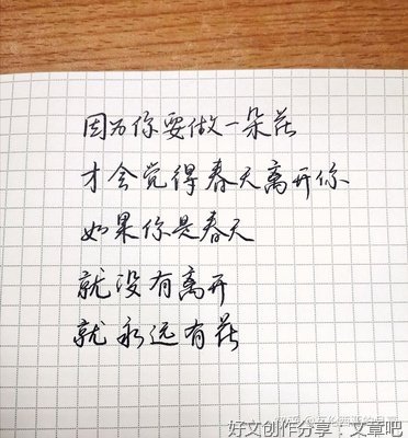 最经典的《顾城哲思录》经典的句子大全