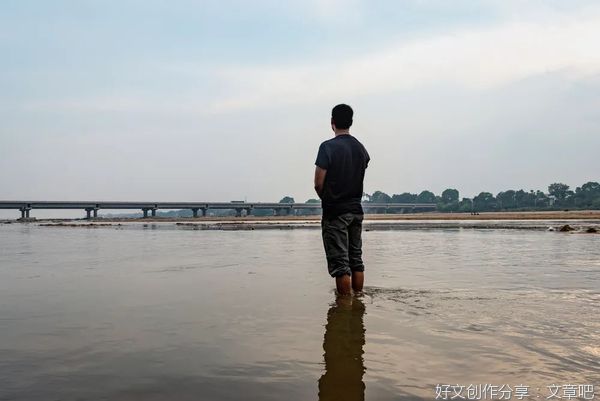人到中年：认怂、认命、认输、认错