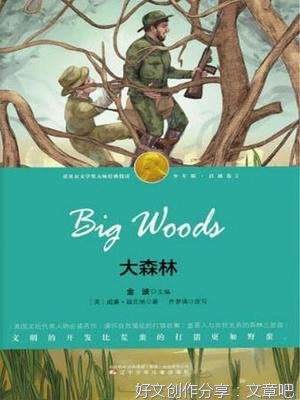 苔依丝读后感1000字