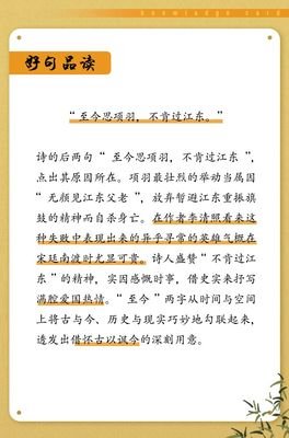 李清照好词好句