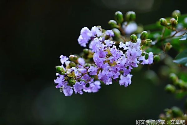 愿人生，从容淡定，不急不缓