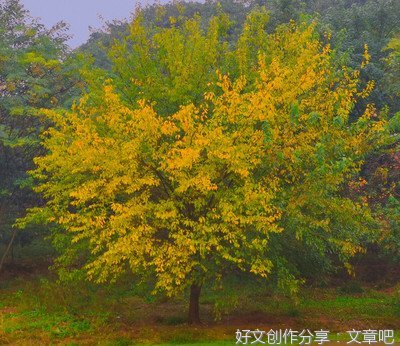 《这世界很烦，但你要很可爱》读后感锦集