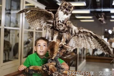 《给孩子的人类飞行史》读后感精选