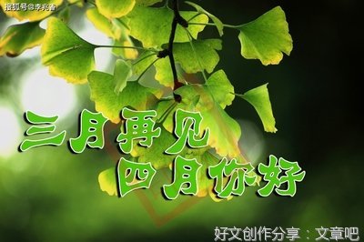 不言不语的句子