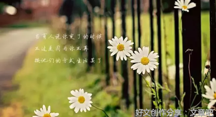 人生态度经典的句子