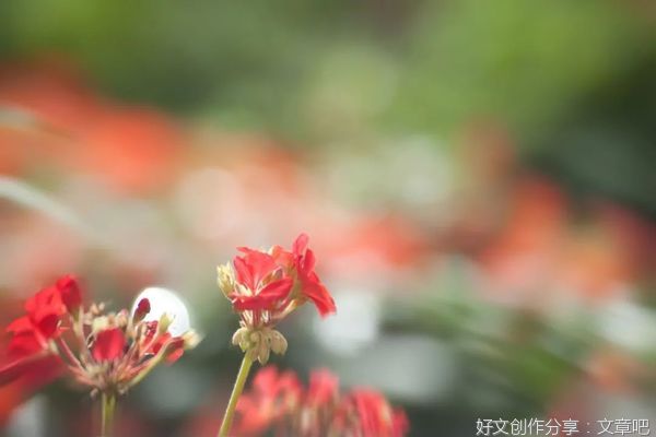  优秀的人，都舍得对自己下狠手