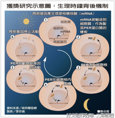 钟表匠的女儿经典读后感有感