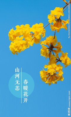 山河无恙读后感精选