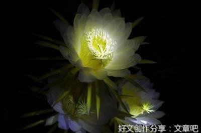 15条关于踌躇满志的经典语句