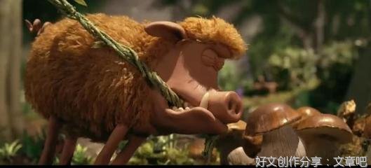 《我的青铜时代》经典影评1000字
