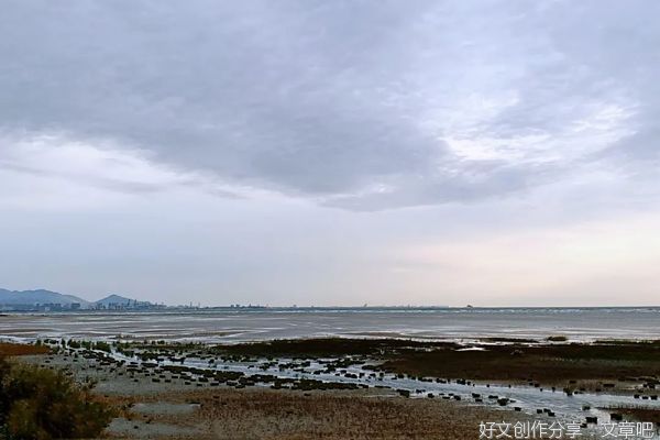  若你懂得，便是默契