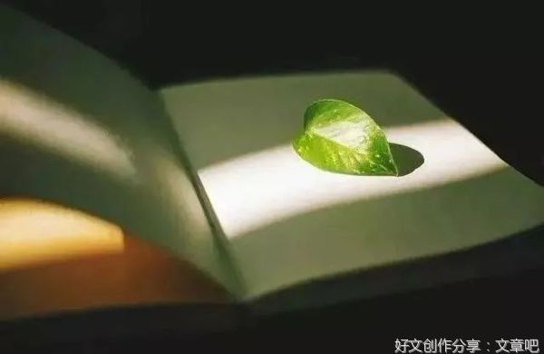致自己：走自己的路，让别人去说 吧！