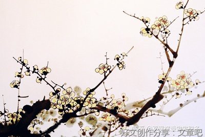 有关过种好龙八部名言