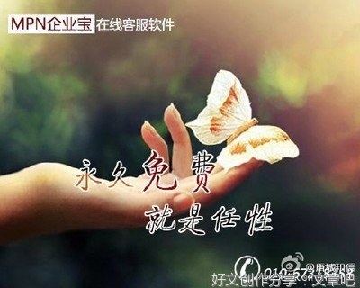 郑俊雅网络营销语录