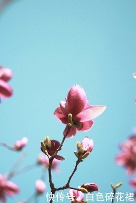 关于阿谀奉承的格言