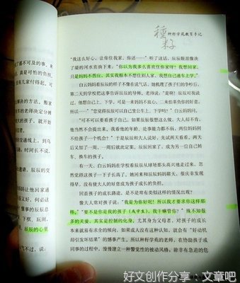 最全的《Someone Like You》好段摘抄