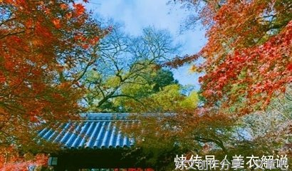 白昼之光，岂知夜色之深名句欣赏