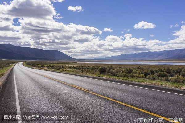 《大西庇阿》读后感100字