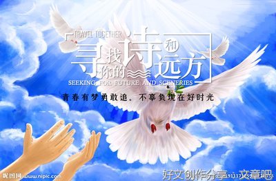诗与远方