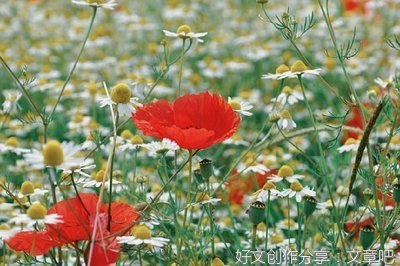 心情的解放经典的句子