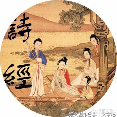 最经典的陶个一夏经典语录