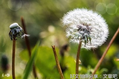 QQ签到优美的句子