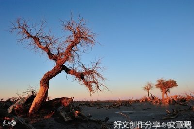 那人名句欣赏