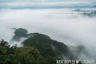 最新的白雾名言