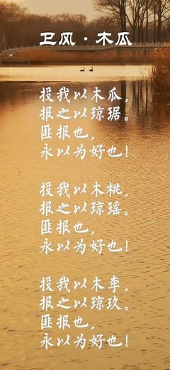 木瓜游的名言