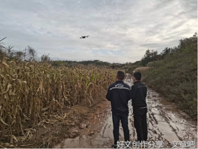最全的《玉溪 澄江县》经典语录大全