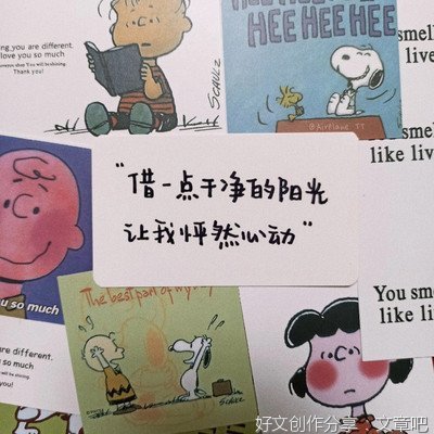 最新的《花儿与少年2》好段摘抄