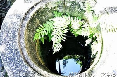 侦探往事读后感1000字