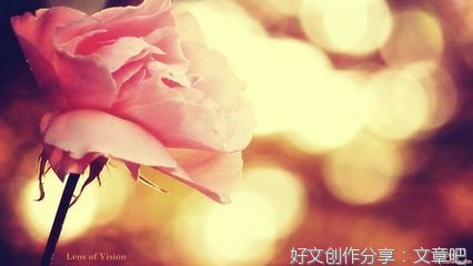 关于随笔的优美句子