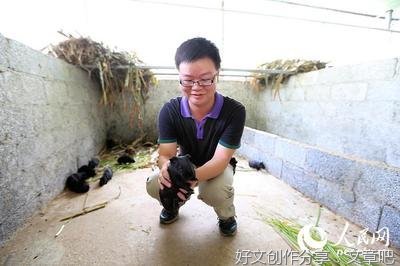 《牛王》观后感100字