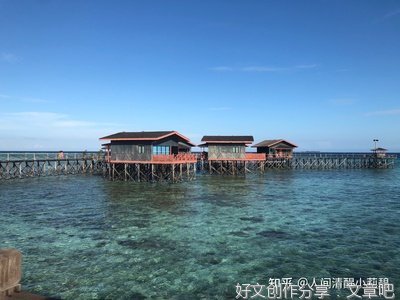 《如何制造一个人》读后感锦集
