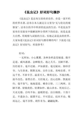有关举例来说的美句摘抄