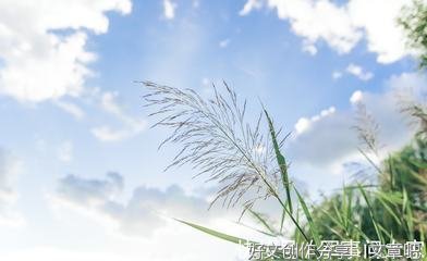 王阳明句子