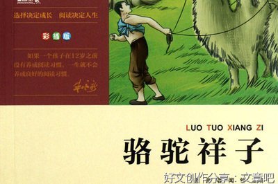 菜市场里的老虎读后感1000字