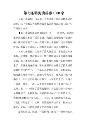 资本的秩序读后感1000字
