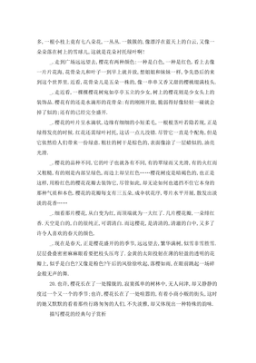 描写实践的语句摘抄