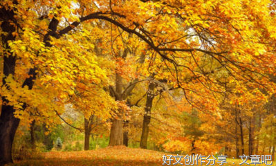 关于文章本天成的优美句子
