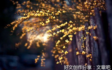 love句子