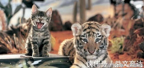 离♛骚名句欣赏
