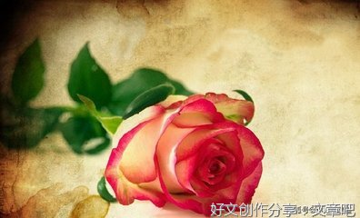 你在岸边等我吗？的句子