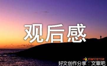 《东北警察故事》好看吗？经典观后感锦集