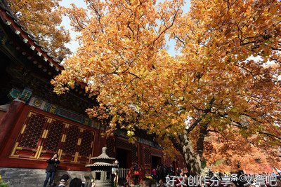 关于八然孩长安名句欣赏