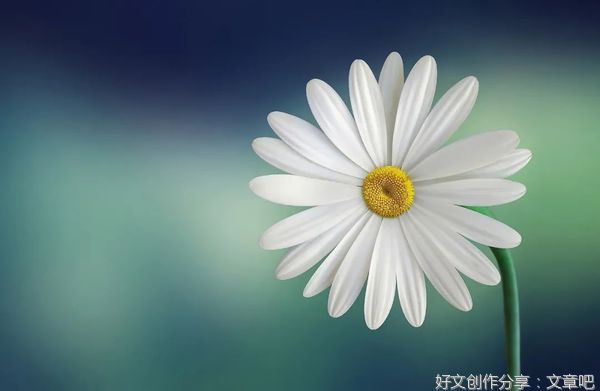 愿你染尽霜华，依然如初