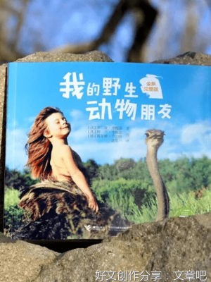风雅三千年读后感锦集